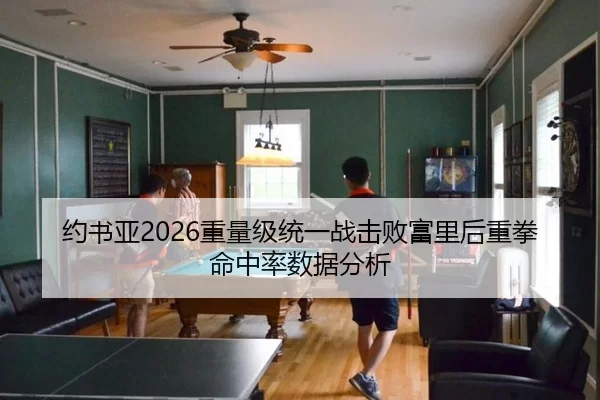 约书亚2026重量级统一战击败富里后重拳命中率数据分析