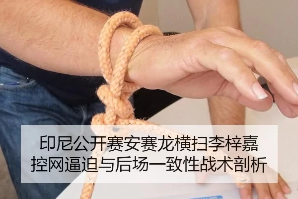 yin-ni-gong-kai-sai-an-sai-long-heng-sao-li-zi-jia-kong-wang-bi-po-yu-hou-chang-yi-zhi-xing-zhan-shu-pou-xi-3-245.jpg